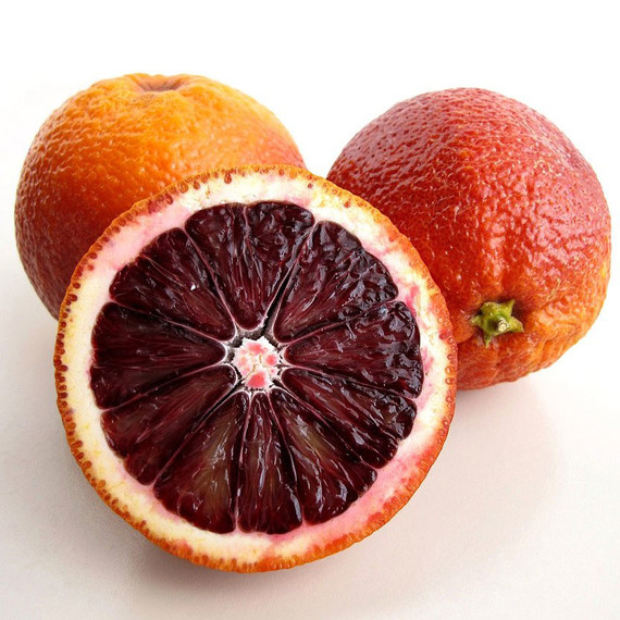 الدم oranges_1110_original2.jpg