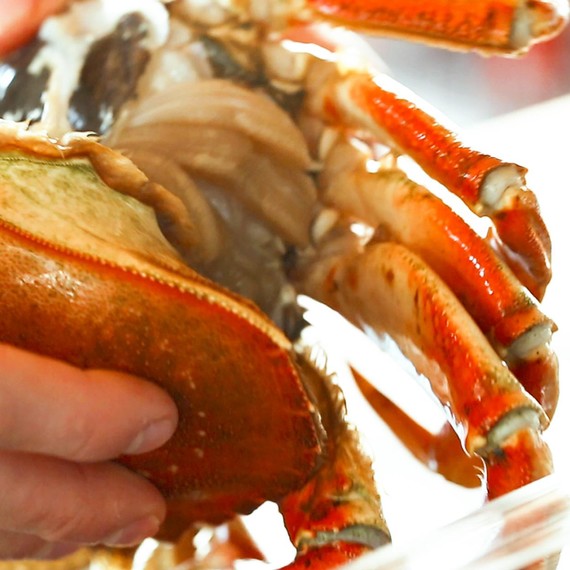 puhdistus Crab