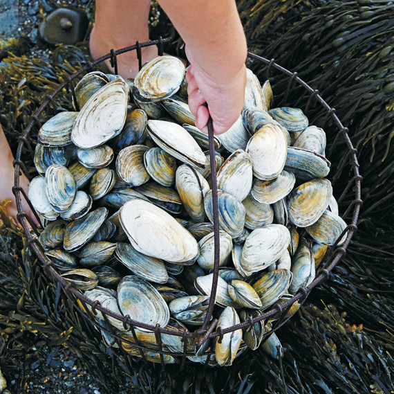 桶 of clams