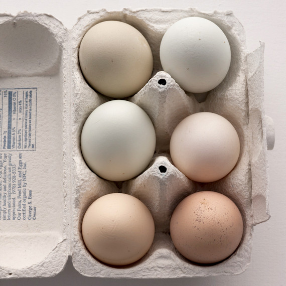 البيض الكرتون-002-0814.jpg