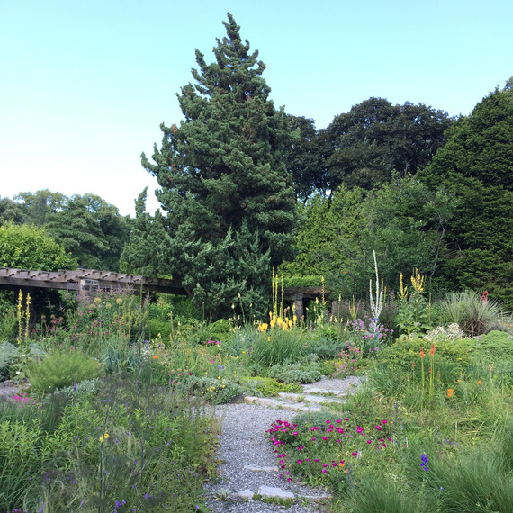ola hill garden