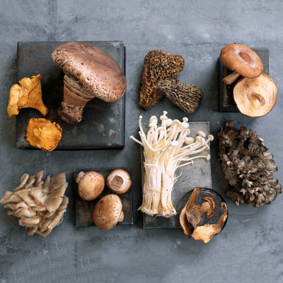 sortiert mushroom varieties 