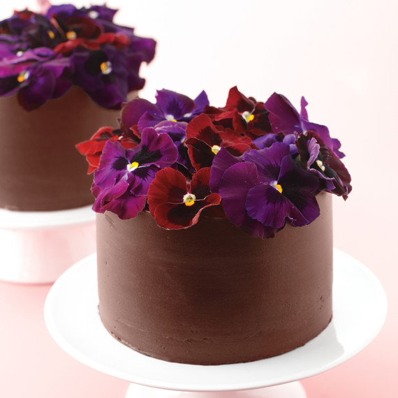 chocolate cakes with pansies
