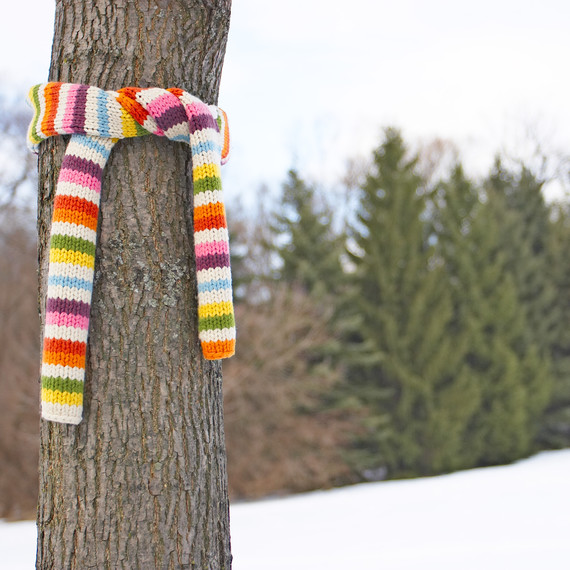 围巾 tied around a tree trunk